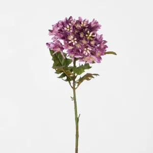 Agapanthus Stem Purple by Florabelle Living, a Plants for sale on Style Sourcebook