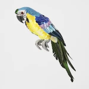 Azure Yellow Belly Parrot Large by Florabelle Living, a Christmas for sale on Style Sourcebook