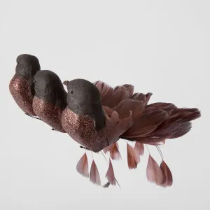 Melvin Clip on Bird Set of 3 Dark Brown by Florabelle Living, a Christmas for sale on Style Sourcebook