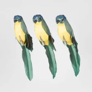 Flairine Clip on Bird Set of 3 Green by Florabelle Living, a Christmas for sale on Style Sourcebook