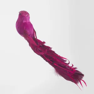 Ellou Clip on Bird Set of 6 Fuchsia by Florabelle Living, a Christmas for sale on Style Sourcebook