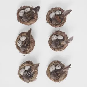 Springtime Nest Pack of 6 by Florabelle Living, a Christmas for sale on Style Sourcebook