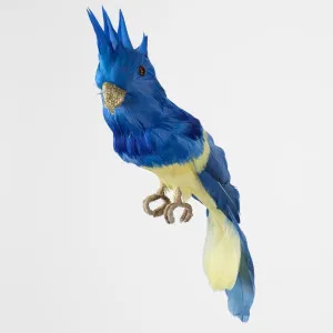 Jacques Crested Blue Bird by Florabelle Living, a Christmas for sale on Style Sourcebook