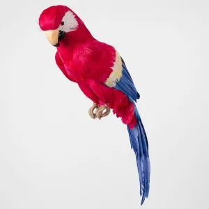 Marron Giant Parrot by Florabelle Living, a Christmas for sale on Style Sourcebook