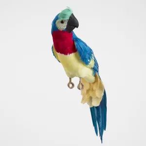 Marron Blue Parrot by Florabelle Living, a Christmas for sale on Style Sourcebook