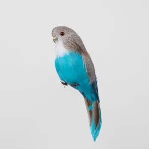 Glitter Beak Budgie Blue by Florabelle Living, a Christmas for sale on Style Sourcebook