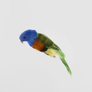 Little Lorikeet by Florabelle Living, a Christmas for sale on Style Sourcebook