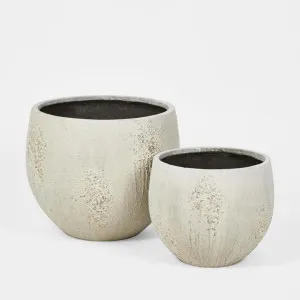 Oyster Planter LGE Chalk by Florabelle Living, a Plant Holders for sale on Style Sourcebook