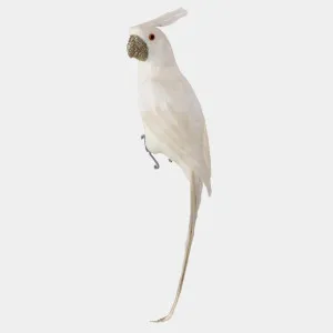 Crawford Glitter Beak Parrot White by Florabelle Living, a Christmas for sale on Style Sourcebook