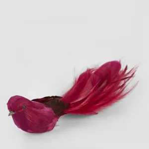 Olsern Clip on Bird Dark Red (Set of 4) by Florabelle Living, a Christmas for sale on Style Sourcebook