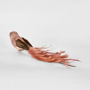 Olsern Clip on Bird Pink (Set of 4) by Florabelle Living, a Christmas for sale on Style Sourcebook