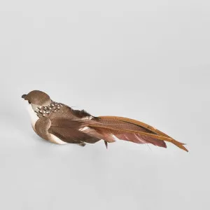 Flome Clip on Bird Brown (Set of 6) by Florabelle Living, a Christmas for sale on Style Sourcebook