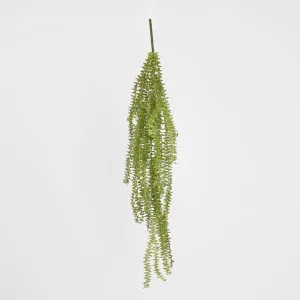 Huperzia Bush by Florabelle Living, a Plants for sale on Style Sourcebook