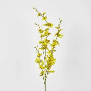Yellow Dancing Orchid by Florabelle Living, a Plants for sale on Style Sourcebook