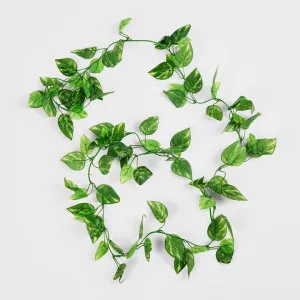 Pothos Leaf Garland Green by Florabelle Living, a Plants for sale on Style Sourcebook