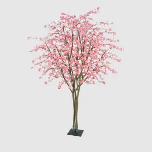 Cherry Blossom Tree 2.74M by Florabelle Living, a Plants for sale on Style Sourcebook