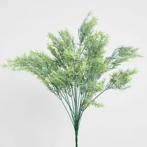 Willow Grass Bush by Florabelle Living, a Plants for sale on Style Sourcebook