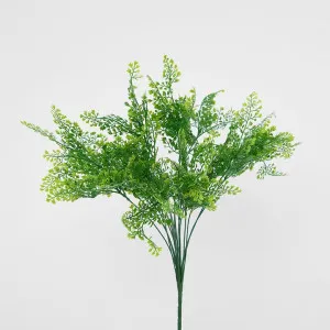 Maidenhair Fern Bush by Florabelle Living, a Plants for sale on Style Sourcebook
