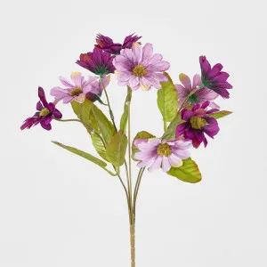 Daisy Bush Assorted by Florabelle Living, a Plants for sale on Style Sourcebook