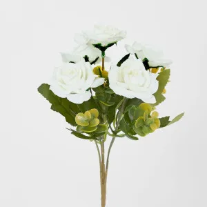 Rose Bush Assorted by Florabelle Living, a Plants for sale on Style Sourcebook