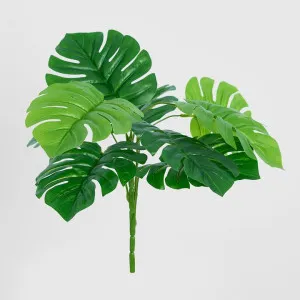 Philo Split Leaf Bush by Florabelle Living, a Plants for sale on Style Sourcebook