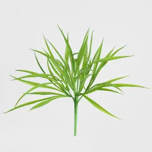 Grass Spray Green by Florabelle Living, a Plants for sale on Style Sourcebook