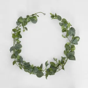 Real Touch Green Fittonia Garland by Florabelle Living, a Plants for sale on Style Sourcebook