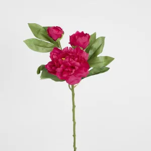Peony With Two Buds Stem Fuchsia by Florabelle Living, a Plants for sale on Style Sourcebook
