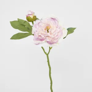 Peony Stem With Bud 48cm Light Pink by Florabelle Living, a Plants for sale on Style Sourcebook