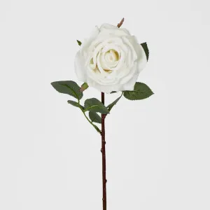 Bella Rose Real Touch 68cm White by Florabelle Living, a Plants for sale on Style Sourcebook