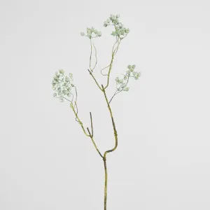 Berry Spray Green by Florabelle Living, a Plants for sale on Style Sourcebook