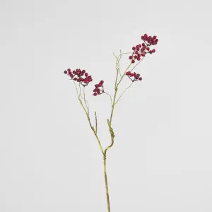 Berry Spray Red by Florabelle Living, a Plants for sale on Style Sourcebook