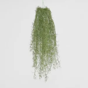 Spanish Moss Dark Green by Florabelle Living, a Plants for sale on Style Sourcebook