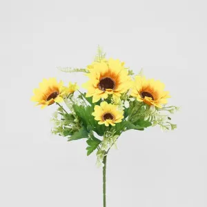Sunflower Bush by Florabelle Living, a Plants for sale on Style Sourcebook