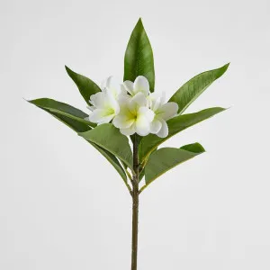 Real Touch Frangipani Stem 88cm by Florabelle Living, a Plants for sale on Style Sourcebook