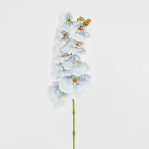 Ripple Phalaenopsis Stem Blue by Florabelle Living, a Plants for sale on Style Sourcebook