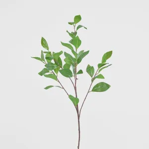 Camelia Leaf Spray by Florabelle Living, a Plants for sale on Style Sourcebook