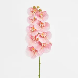 Ripple Phalaenopsis Stem Pink by Florabelle Living, a Plants for sale on Style Sourcebook