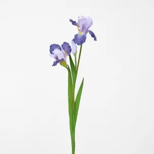 Iris Stem Purple by Florabelle Living, a Plants for sale on Style Sourcebook