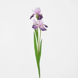 Iris Stem Dark Lilac by Florabelle Living, a Plants for sale on Style Sourcebook