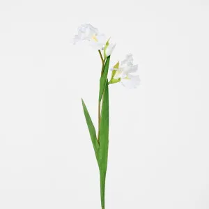 Iris Stem White by Florabelle Living, a Plants for sale on Style Sourcebook