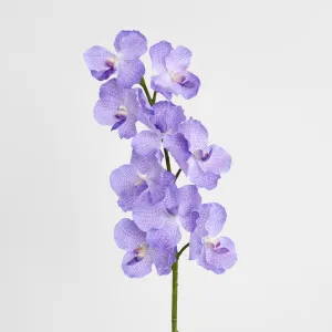 Real Touch Orchid 100cm Lavender by Florabelle Living, a Plants for sale on Style Sourcebook