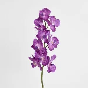 Real Touch Orchid 100cm Dark Purple by Florabelle Living, a Plants for sale on Style Sourcebook