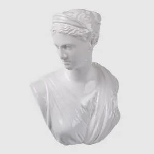 Julian Bust SML by Florabelle Living, a Decorative Accessories for sale on Style Sourcebook