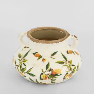 Lemon Planter With Handle by Florabelle Living, a Decorative Accessories for sale on Style Sourcebook