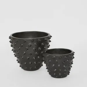 Vera Pots With Dots Set 2 by Florabelle Living, a Plant Holders for sale on Style Sourcebook