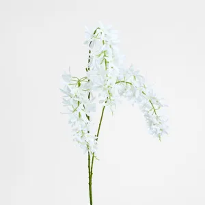 Trailing Wisteria 118cm White by Florabelle Living, a Plants for sale on Style Sourcebook