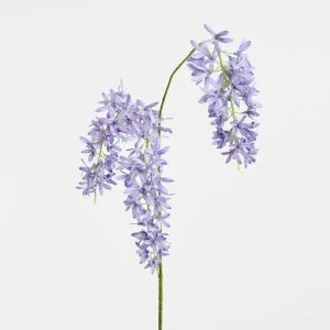 Trailing Wisteria 118cm Lavender by Florabelle Living, a Plants for sale on Style Sourcebook