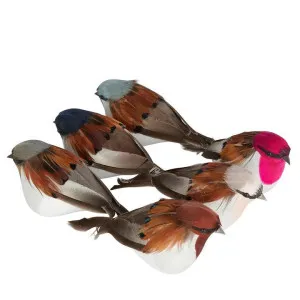 Woodland Puffer Birds - Boxed Set of 6 Multicolour by Florabelle Living, a Christmas for sale on Style Sourcebook