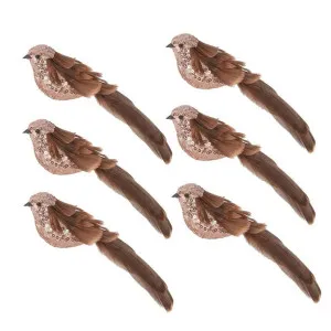 Bardot Sequin Bird Natural Box of 6 by Florabelle Living, a Christmas for sale on Style Sourcebook